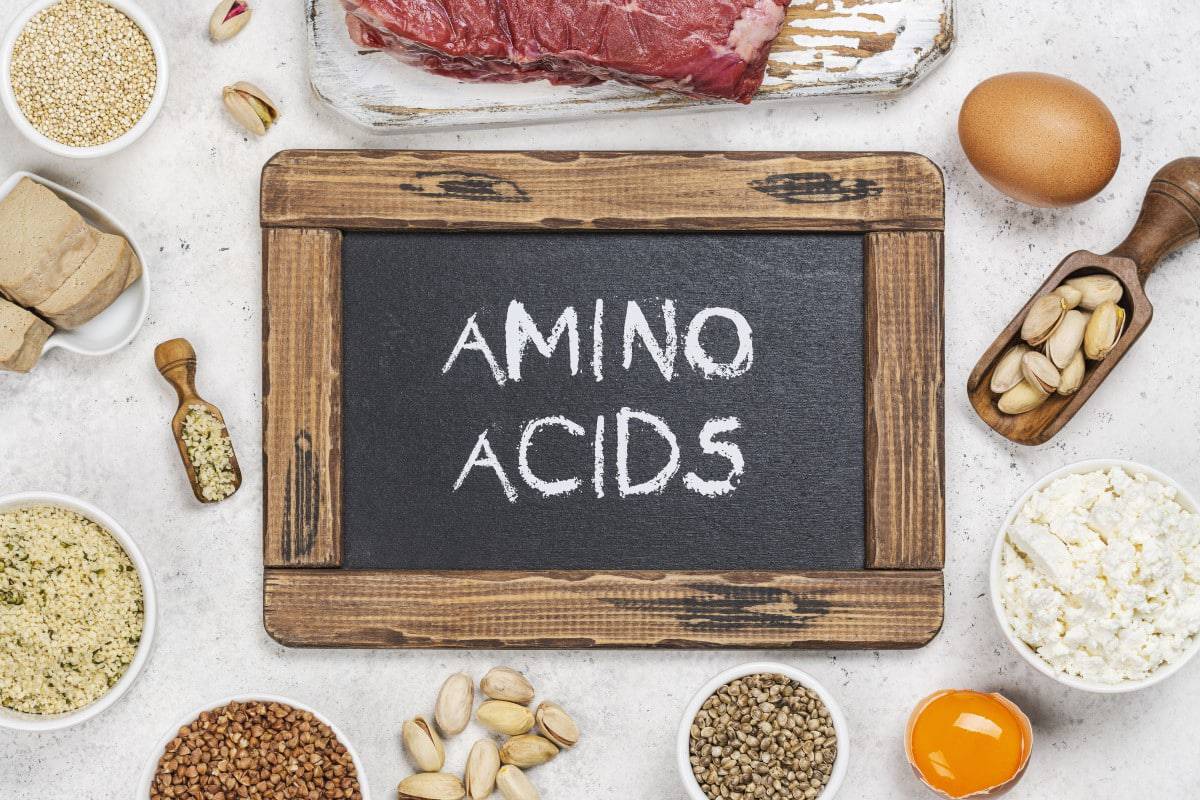 Welke aminozuren zijn er?