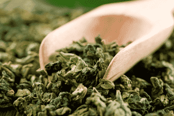 stofwisseling versnellen met supplementen groene thee
